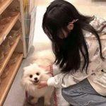 猛砍骑士最新版下载